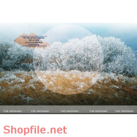 Frame wedding beautiful vollibear online PSD