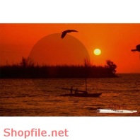 Frame wedding beautiful Lady online PSD