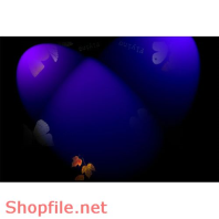 Frame wedding beautiful Lady online PSD