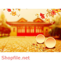 Phông ghép khung ảnh cưới Nhã Ân PSD