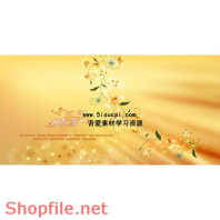 Frame wedding beautiful miss PSD