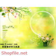 Frame wedding beautiful C PSD