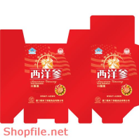 Mẫu vector package nữ thần tự do