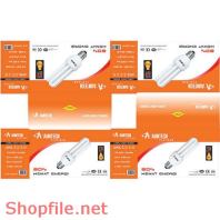 Mẫu Layout bao bì bóng đèn sáng