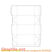 Mẫu vector package thiết kế