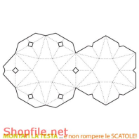 Mẫu vector package độc đáo