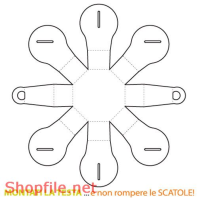 Mẫu vector package thiết kế