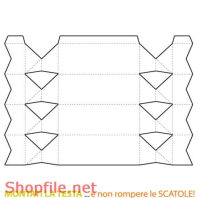 Mẫu layout bao bì mẫu