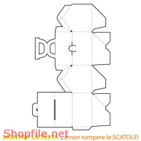 Mẫu layout bao bì thiết kế ấn tượng