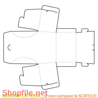Mẫu layout bao bì vẽ mẫu