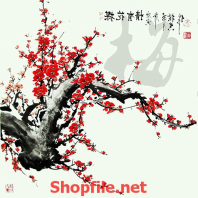 Hình hoa mai đẹp