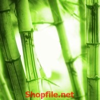 Tranh dán tường cây trúc xanh