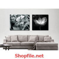 tranh dán tường hoa phong lan