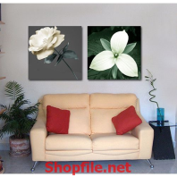 tranh dán tường hoa hồng trắng