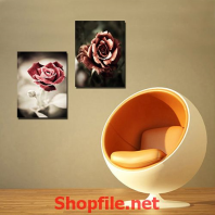 bông hoa hồng đỏ thẳm