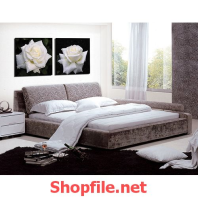 bông hoa hồng trắng