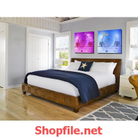 bông hoa hồng màu xanh và hồng