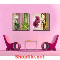 nhánh hoa làn nhiều màu