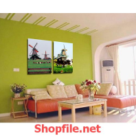 nông trại bò sữa