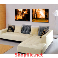 ánh sáng cuối cùng