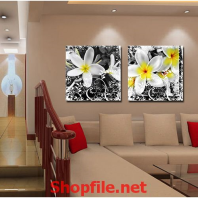 bông hoa sứ ngát hương