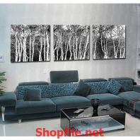 khu rừng cây khô