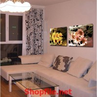 bông hoa cúc vàng và hồng