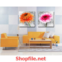 bông hoa trắng hồng và cam