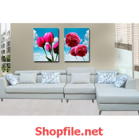 bông hoa giấy màu hồng