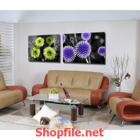 bông hoa dại tím và vàng