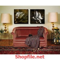 bông hoa màu huyền bí