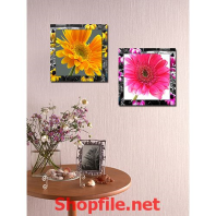 bông hoa cúc vàng hồng