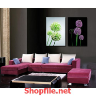 bồ công anh tím xanh