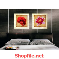 bông hoa hồng và bông hoa dâm bụt