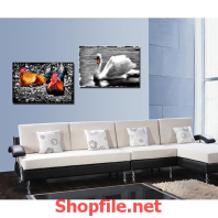 thiên nga và chú gà trống