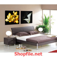 hai loại đẹp để treo tường