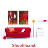 cánh hoa sen và hoa tuy líp