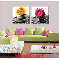 bông hoa trên những hòn đá