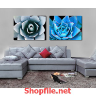 bông hoa sứ xám và xanh