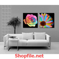 bông hoa bảy sắc màu