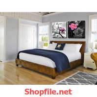 bông hoa nở lúc băng giá