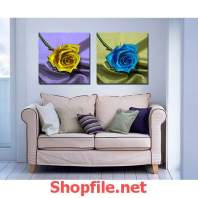 bông hoa hồng màu vàng và xanh da trời