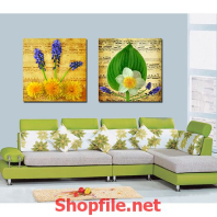 sắc màu của thực vật