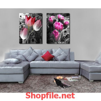 bó hoa sen trắng hồng