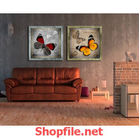 những chú bướm xinh đẹp