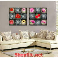 muôn vàn bông hoa giấy đẹp