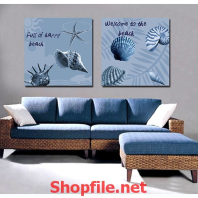 vỏ ốc biển và sao biển