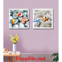 vỏ ốc và sao biển trên bãi đá