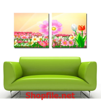 cánh đồng hoa muôn màu