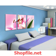 bức ảnh của bông hoa phong lan